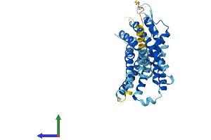 Protein Structure (PS) image for Platelet-Activating Factor Receptor (PTAFR) (AA 1-342) protein (His tag) (ABIN7551095)