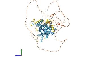 Protein Structure (PS) image for Putative Homeodomain Transcription Factor 2 (PHTF2) (AA 1-747) protein (His tag) (ABIN7559222)