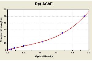 Diagramm of the ELISA kit to detect Rat AChEwith the optical density on the x-axis and the concentration on the y-axis.