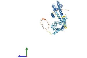 AlphaFold protein structure predicition of Human Recombinant CATSPER3 Protein, UniprotID Q86XQ3