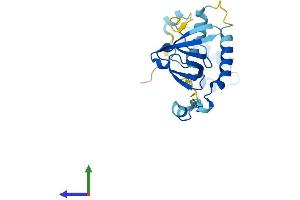 AlphaFold protein structure predicition of Human Recombinant POP4 Protein, UniprotID O95707