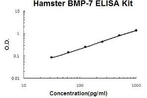 Hamster BMP-7 PicoKine ELISA Kit standard curve (BMP7 ELISA 试剂盒)