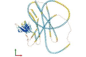 AlphaFold protein structure predicition of Human Recombinant KIF15 Protein, UniprotID Q9NS87 (KIF15 Protein (AA 1-1388) (His tag))