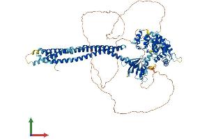Protein Structure (PS) image for ArfGAP with SH3 Domain, Ankyrin Repeat and PH Domain 3 (ASAP3) (AA 1-904) protein (His tag) (ABIN7557559)