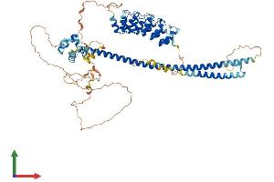 Protein Structure (PS) image for Ankyrin Repeat and SAM Domain-Containing Protein 3 (ANKS3) (AA 1-655) protein (His tag) (ABIN7560793)