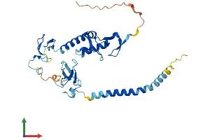Protein Structure (PS) image for Ring Finger Protein 144B (RNF144B) (AA 1-303) protein (His tag) (ABIN7551247)