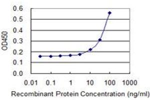 Detection limit for recombinant GST tagged SEPT2 is 3 ng/ml as a capture antibody. (Septin 2 抗体  (AA 1-371))