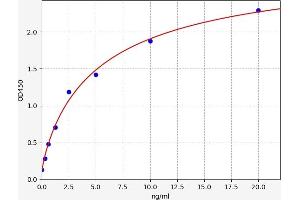 Follistatin-Like 1 (FSTL1) ELISA Kit
