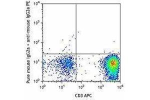 Flow Cytometry (FACS) image for anti-Chemokine (C-C Motif) Receptor 8 (CCR8) antibody (ABIN2664101) (CCR8 抗体)