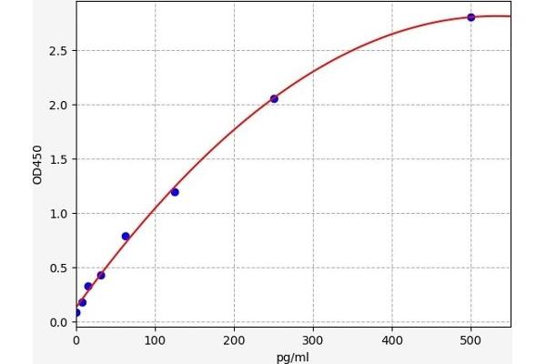 HSF2 ELISA 试剂盒