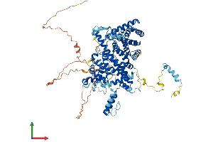 Protein Structure (PS) image for Striatin Interacting Protein 2 (STRIP2) (AA 1-834) protein (His tag) (ABIN7544039)