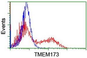 Image no. 2 for anti-Transmembrane Protein 173 (TMEM173) antibody (ABIN1501423) (STING/TMEM173 抗体)