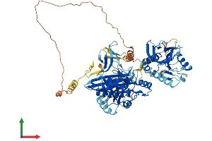 Protein Structure (PS) image for Biotin-Protein Ligase (HLCS) (AA 1-722) protein (His tag) (ABIN7560181)