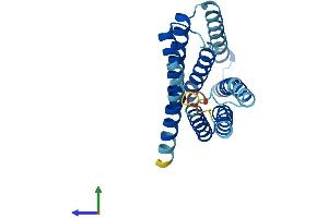 Protein Structure (PS) image for Solute Carrier Family 50 (Sugar Transporter), Member 1 (RAG1AP1) (AA 1-221) protein (His tag) (ABIN7560719)