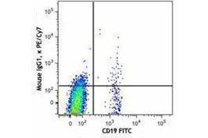 Flow Cytometry (FACS) image for anti-Chemokine (C-X-C Motif) Receptor 5 (CXCR5) antibody (PE-Cy7) (ABIN2659138) (CXCR5 抗体  (PE-Cy7))
