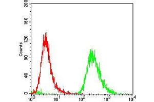 Flow cytometric analysis of A431 cells using EPN1 mouse mAb (green) and negative control (red). (Epsin 1 抗体  (AA 106-254))