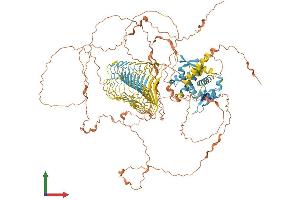 AlphaFold protein structure predicition of Human Recombinant MAGEC1 Protein, UniprotID O60732 (MAGEC1 Protein (AA 1-1142) (His tag))