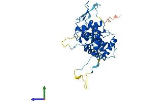 Protein Structure (PS) image for General Transcription Factor IIB (GTF2B) (AA 1-316) protein (His tag) (ABIN7556627)