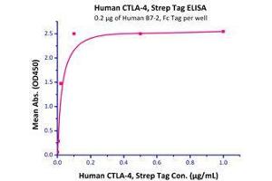 Binding Studies (Bind) image for Cytotoxic T-Lymphocyte-Associated Protein 4 (CTLA4) (AA 37-162) (Active) protein (Strep Tag) (ABIN6810026)