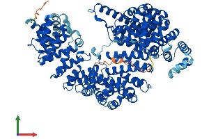 AlphaFold protein structure predicition of Human Recombinant TNPO1 Protein, UniprotID Q92973