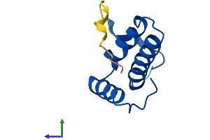 Protein Structure (PS) image for Cytochrome C Oxidase Subunit VIb Polypeptide 2 (Testis) (COX6B2) (AA 1-88) protein (His tag) (ABIN7546909)