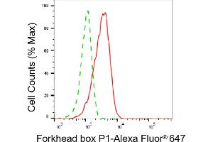 Flow cytometric analysis of Forkhead box P1 expression in HAP-1 cells using Forkhead box P1 antibody (ABIN7798651), 1:2,000).