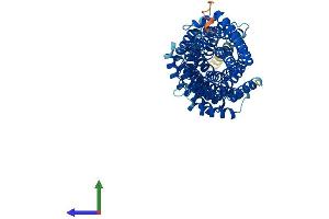 Protein Structure (PS) image for MAU2 Sister Chromatid Cohesion Factor (MAU2) (AA 1-619) protein (His tag) (ABIN7560927)