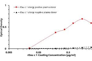 ELISA (enzyme-linked immunosorbent assay) test was designed to prove the bond between the coated target recombinant allergen rDau c 1 and allergen-specific human plasma IgG4 antibodies of Daucus carota positive donor.