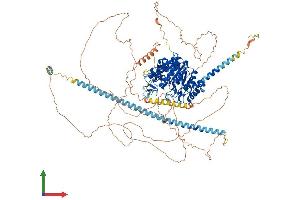 Protein Structure (PS) image for Histone Deacetylase 5 (HDAC5) (AA 1-1113) protein (His tag) (ABIN7565303)