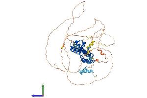 AlphaFold protein structure predicition of Mouse Recombinant Hnf1b Protein, UniprotID P27889 (HNF1B Protein (AA 1-558) (His tag))