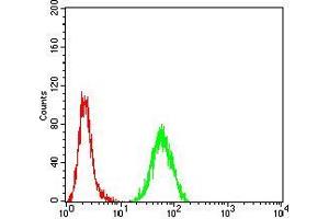 Flow Cytometry (FACS) image for anti-RAD23 Homolog A (RAD23A) (AA 1-363) antibody (ABIN5542637)