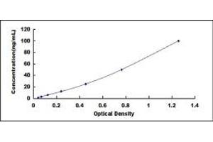 Typical standard curve (Claudin 16 ELISA 试剂盒)