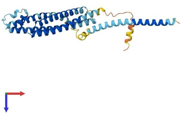 STX3 Protein (AA 1-289) (His tag)