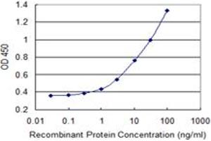 Detection limit for recombinant GST tagged PFKM is 0. (PFKM 抗体  (AA 681-780))