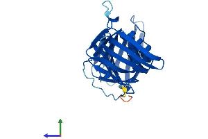 Protein Structure (PS) image for Proliferating Cell Nuclear Antigen (PCNA) (AA 1-261) protein (His tag) (ABIN7562921)