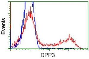 Flow Cytometry (FACS) image for anti-Dipeptidyl-Peptidase 3 (DPP3) antibody (ABIN1497829) (DPP3 抗体)