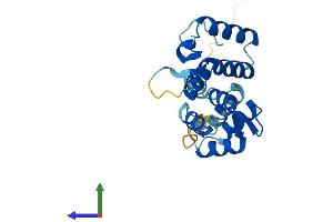 Protein Structure (PS) image for Rhophilin Associated Tail Protein 1 (ROPN1) (AA 1-212) protein (His tag) (ABIN7551540)