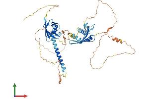 Protein Structure (PS) image for Midnolin (MIDN) (AA 1-468) protein (His tag) (ABIN7549436)