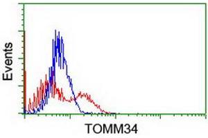 HEK293T cells transfected with either RC201083 overexpress plasmid (Red) or empty vector control plasmid (Blue) were immunostained by anti-TOMM34 antibody (ABIN2454785), and then analyzed by flow cytometry. (TOMM34 抗体)