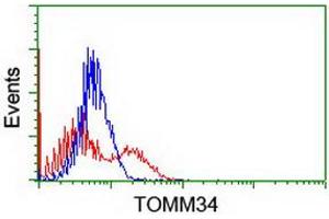 HEK293T cells transfected with either RC201083 overexpress plasmid (Red) or empty vector control plasmid (Blue) were immunostained by anti-TOMM34 antibody (ABIN2454785), and then analyzed by flow cytometry.