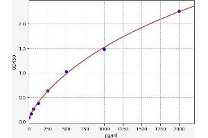 Typical standard curve (CDX2 ELISA 试剂盒)