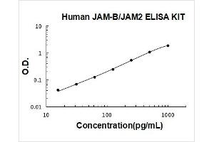 Junctional Adhesion Molecule 2 (JAM2) ELISA Kit