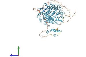 Protein Structure (PS) image for Zinc Finger Protein 184 (ZNF184) (AA 1-751) protein (His tag) (ABIN7545645)