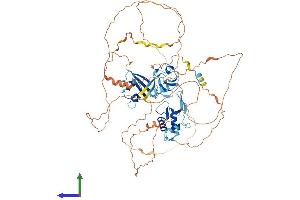 AlphaFold protein structure predicition of Human Recombinant DVL2 Protein, UniprotID O14641 (DVL2 Protein (AA 1-736) (His tag))
