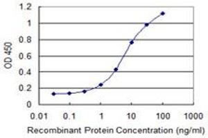 Detection limit for recombinant GST tagged DAP is 0. (DAP 抗体  (AA 1-102))