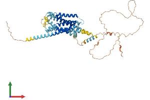 AlphaFold protein structure predicition of Human Recombinant GPR176 Protein, UniprotID Q14439