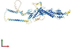 Protein Structure (PS) image for Mediator Complex Subunit 17 (MED17) (AA 1-649) protein (His tag) (ABIN7564728)