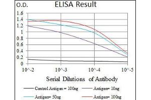 Black line: Control Antigen (100 ng), Purple line: Antigen(10 ng), Blue line: Antigen (50 ng), Red line: Antigen (100 ng), (MMP2 抗体  (AA 242-396))