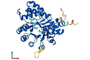 Protein Structure (PS) image for Adenosine Deaminase-Like Protein (ADAL) (AA 1-360) protein (His tag) (ABIN7558312)