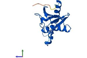 Protein Structure (PS) image for Cytidine Deaminase (CDA) (AA 1-146) protein (His tag) (ABIN7553268)